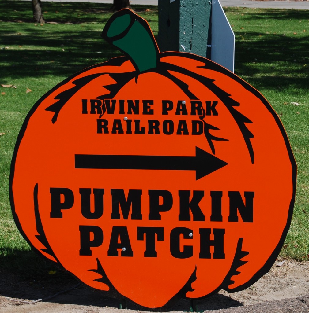 Pumpkin Patch Sign Board