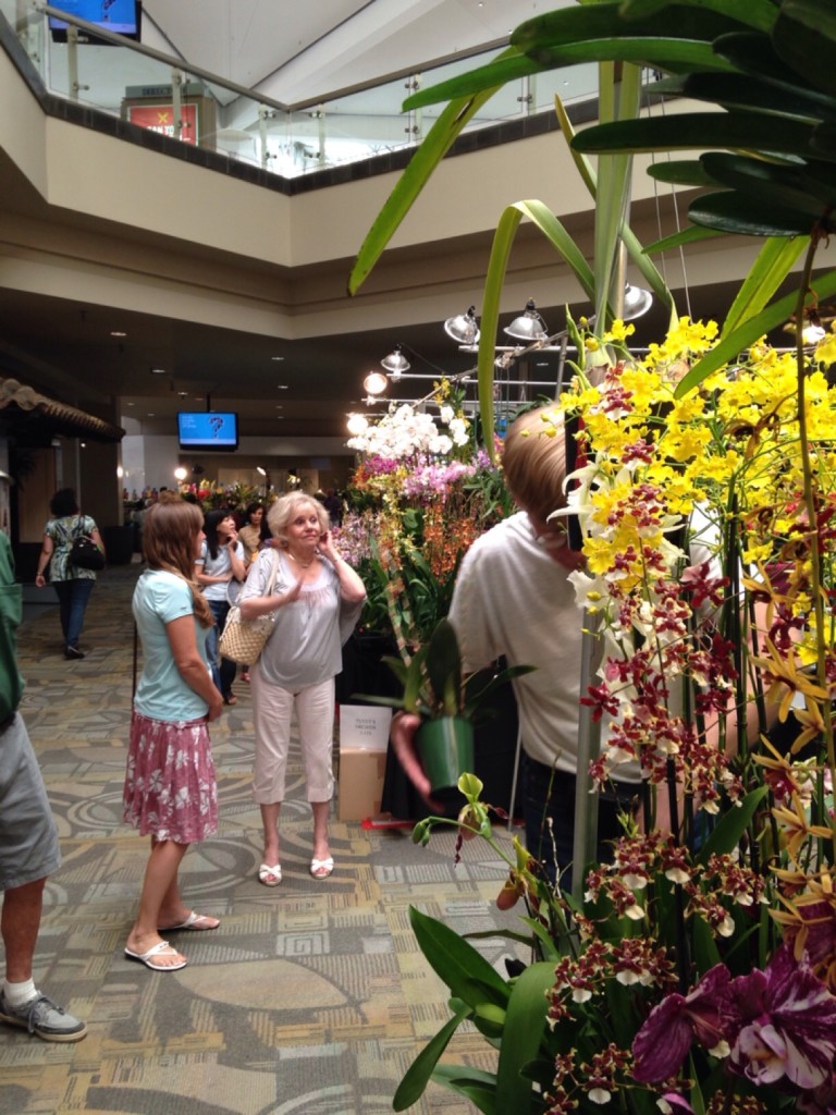 Annual Orchid Expo to Take Bloom at Westminster Mall February 1315