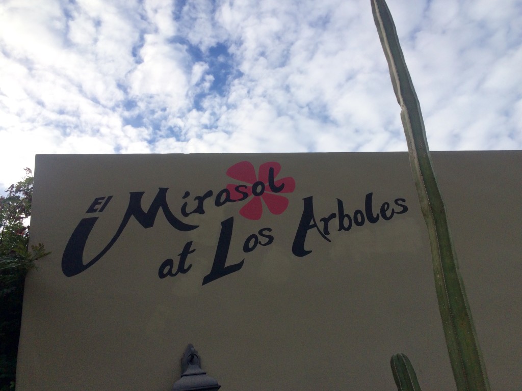 el-mirasol