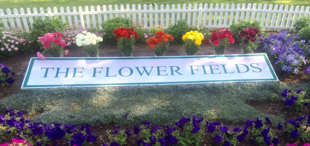 the-flower-fields-sign