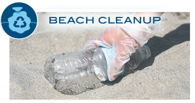 beach-cleanup