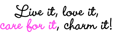 charm-it-logo