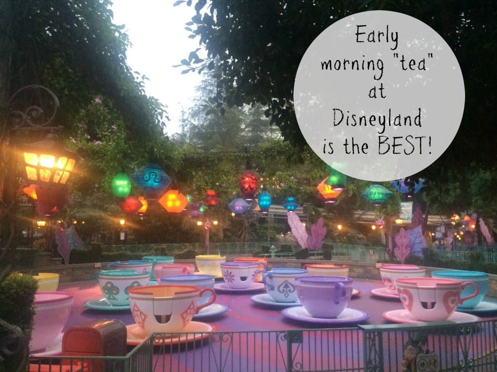 early-morning-tea-at-disneyland
