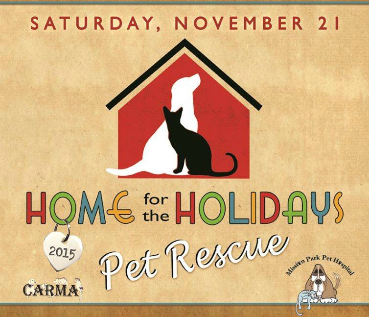 home-for-the-holidays-pet-rescue