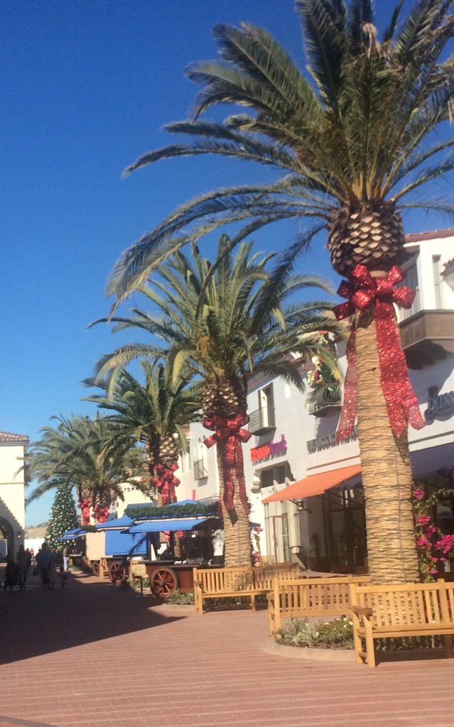 outlets-at-san-clemente-trees