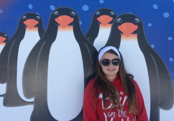 2015-Holiday-Snow-Days-penguins