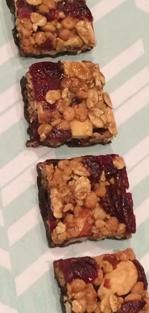 goodnessknows-snack-squares-4