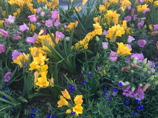 disney-parks-eggstravaganza-flowers