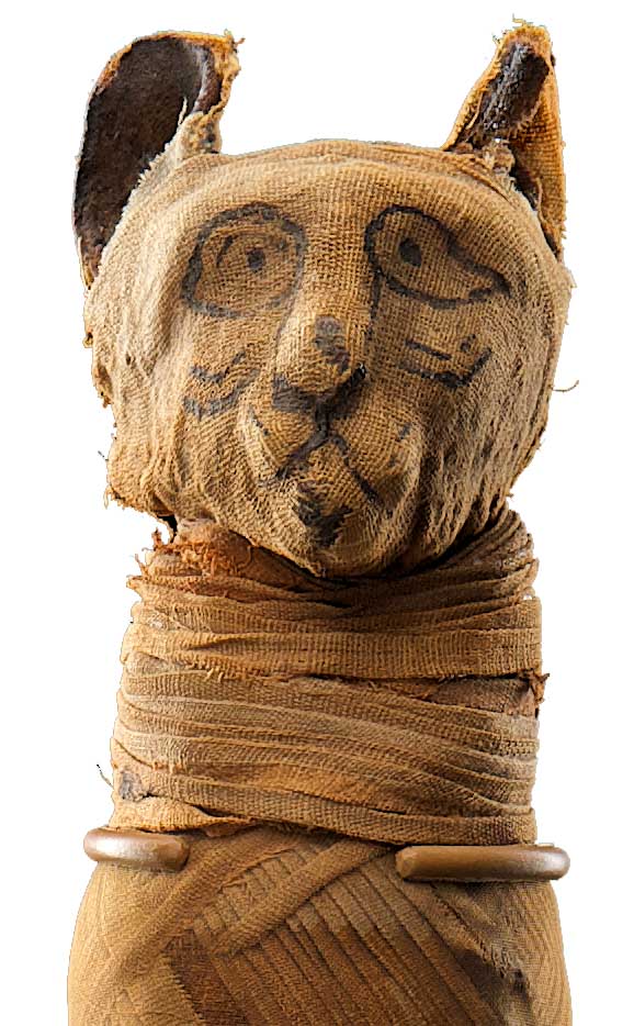 mummies-of-the-world-egyptian-can