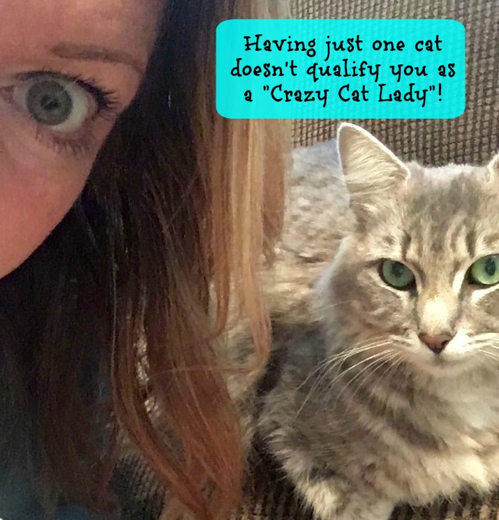 adopt-two-cats-crazy-cat-lady