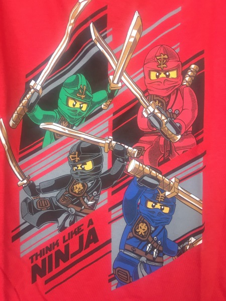 legoland-ninjago-world-think-like-a-ninja