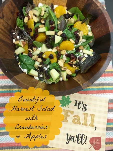 bountiful-harvest-salad-with-cranberries-and-apples
