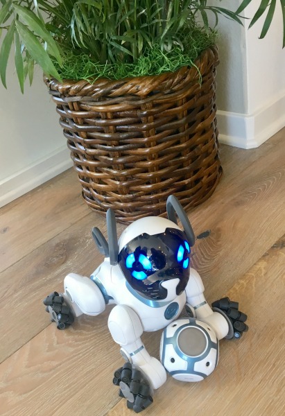 cox-smart-home-robot