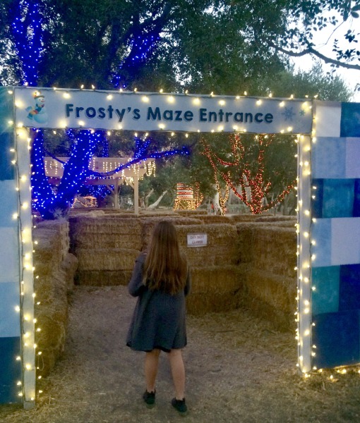frostys-maze