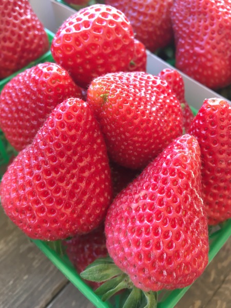 tanaka-farms-strawberry-basket