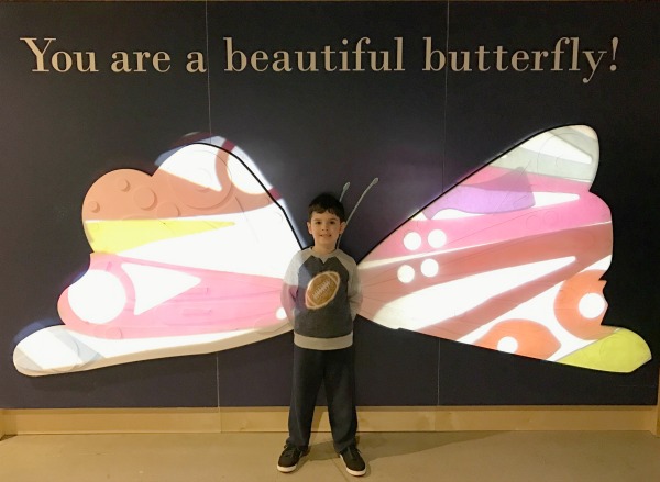 you-are-a-beautiful-butterfly