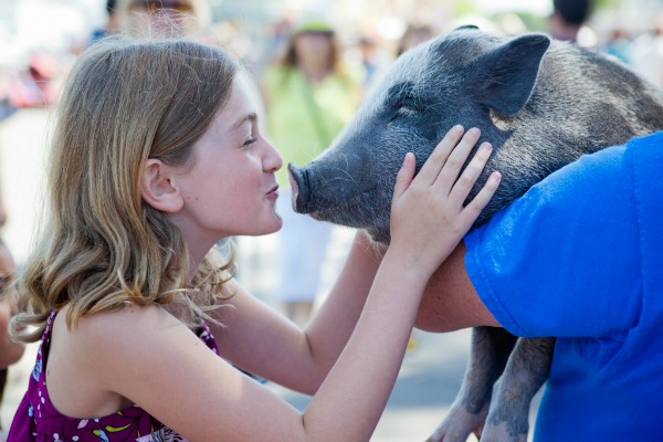 americas-family-pet-expo-hogs