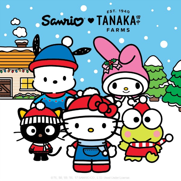 sanrio-tanaka-farms-holiday-village-1