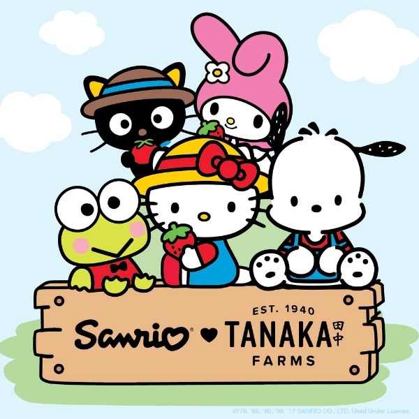 sanrio-tanaka-farms-holiday-village-2