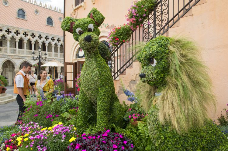 epcot-flower-and-garden-lady-and-the-tramp-topiary