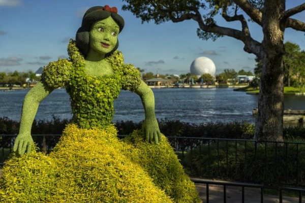 snow-white-topiary