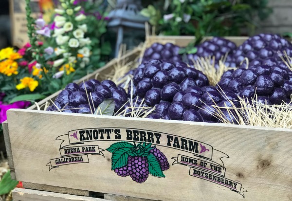 knotts-boysenberry-festival-crate