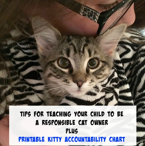 tips-for-teaching-your-child-to-be-a-responsible-cat-owner-plus-printable-kitty-accountability-chart